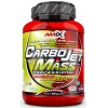 Высокобелковый гейнер с креатином, Amix, CarboJet Gain Mass Professional - 1,8 кг