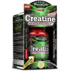 Хелат Креатина Магния (Креатин + Магний в хелатной форме), Amix, MuscleCore DW - Creatine MagnaPOWER - 120 капс