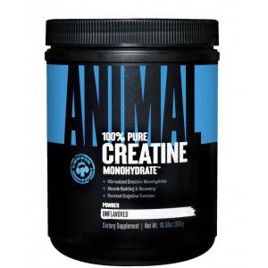 Микронизированный креатин моногидрат, Universal Nutrition, Animal Creatine Powder - 300 г