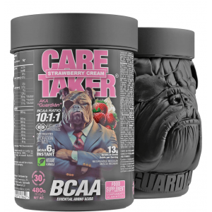 Незамінні амінокислоти ВСАА, Zoomad Labs, Caretaker BCAA - 480 г