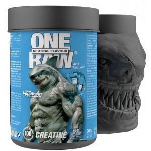 Креатин моногідрат, Zoomad Labs, Raw One Creatine - 300 г