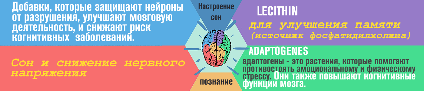 здоровье и долголетие мозга