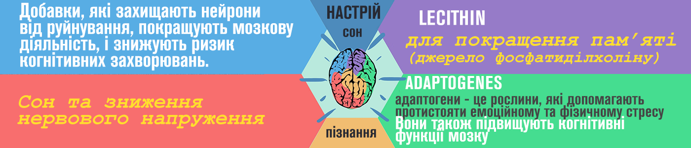 здоров'я та довголіття мозку