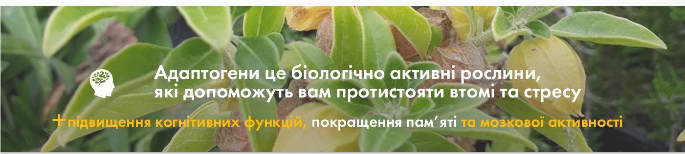 адаптогени купити